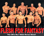 Flesh For Fantasy