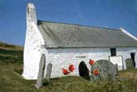 New Quay Cottages